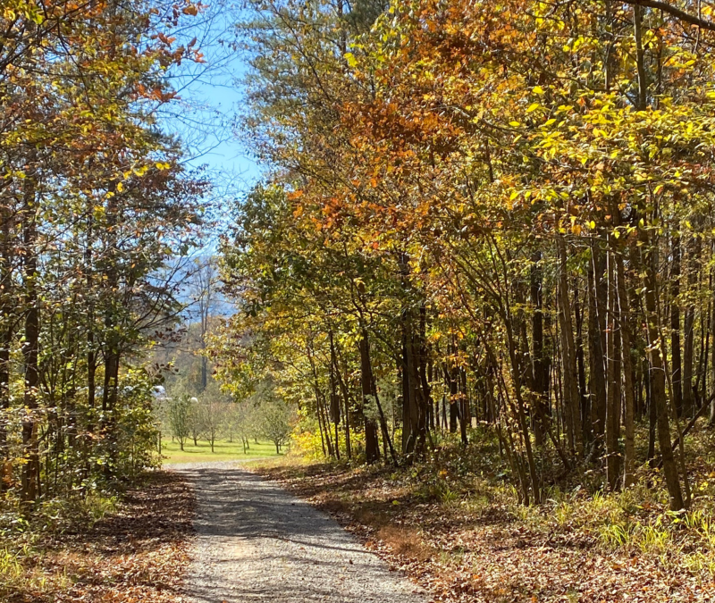 Fall Farm Day