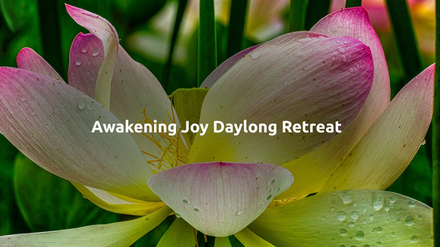 Awakening Joy Daylong Meditation Retreat Led by Janka Livoncova