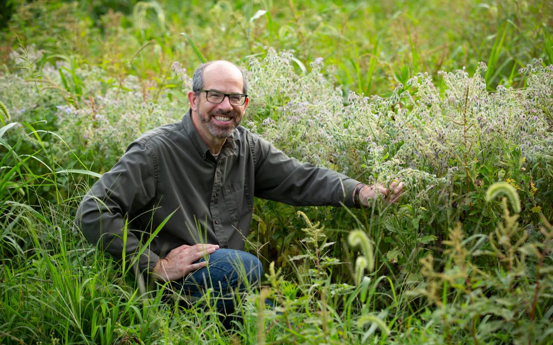 Spring Plant Walk and Medicine Making with CoreyPine Shane, RH (AHG) – Waiting List Available