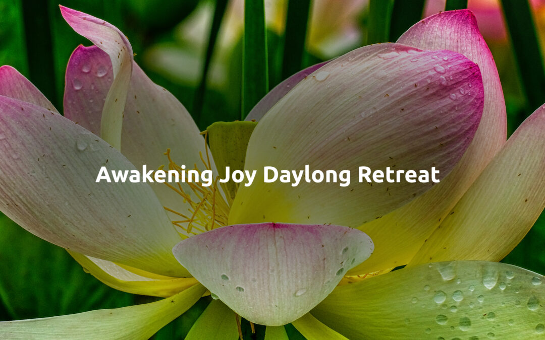 Awakening Joy: A Daylong Retreat led by Janka Livoncova