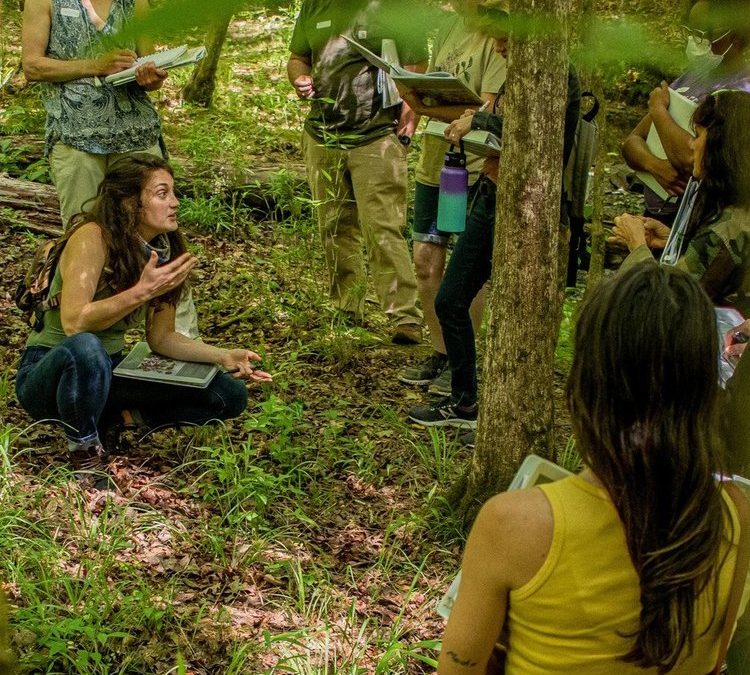 Guided Forest Walk with Herbalist and Teacher Cameron Strouss